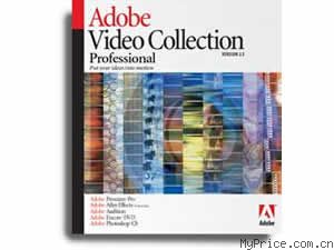 ADOBE Video Collection 2.5(׼)