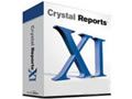 BO Crystal Reports XI ͼƬ