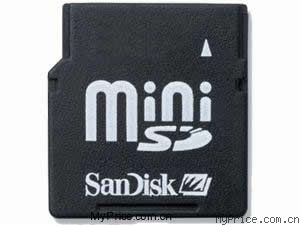 SanDisk Mini SD (1GB)