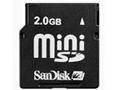 SanDisk Mini SD (2GB)