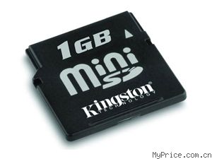 Kingston Mini SD (2GB)