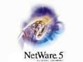 NOVELL Net Ware5.0(Ӣİ)