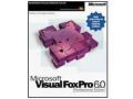 Microsoft Visual FoxPro 6.0 (רҵ)