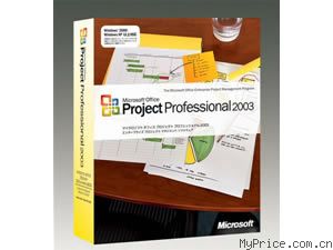 Microsoft Project 2003 רҵ