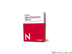 NOVELL Open Enterprise Server 2(1 User License)