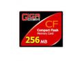 GigaDisk CF(256M)