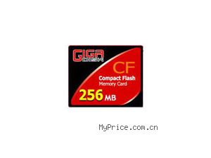 GigaDisk CF(256M)