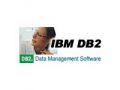 IBM DB2 Universal Database 8.1(׼ 1CPU)