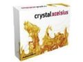 BusinessObject Crystal Xcelsius 4.5 רҵ