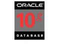 ORACLE Oracle 10g ׼ for Windows(1CPU)