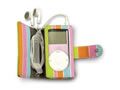  iPod miniʺ(F8E578zhMIX)