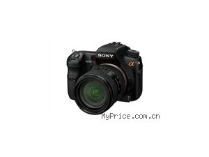 SONY a700(ͷ׻16-105)