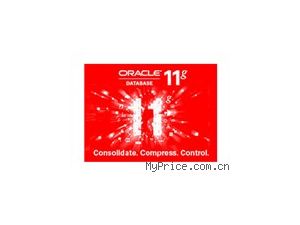 ORACLE Oracle 11g 򻯰