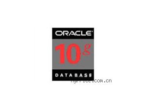 ORACLE Oracle 10g(׼ 20user)