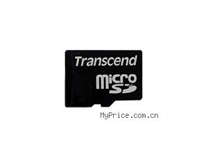  MicroSD (2GB)