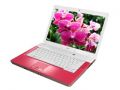 ʿͨ LifeBook L1010-ACS0D10092()ͼƬ