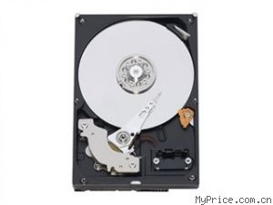  1TB/7200ת/8M/(WD10EVVS)