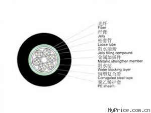 WINFIBER 24оװģ/WF-GYTS-24A1b