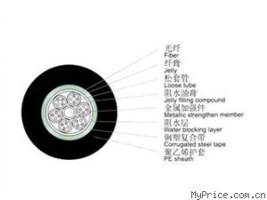 WINFIBER 24оװģ/WF-GYTA-24A1a