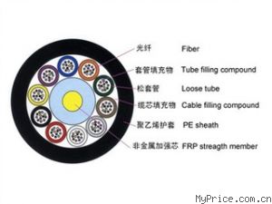 WINFIBER 24оǽģ(ʽ)WF-GYFTY-24B1