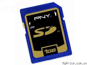 PNY SD (1GB)