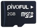 ŵ MicroSD(2G)