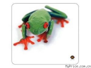ALLSOP Tree Frog