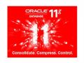 ׹ Oracle 11g ׼ 1CPU