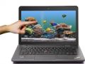 ThinkPad E431 68861D7 14Ӣ(i3-3110M/4G/500G/GT740M//Win8/)
