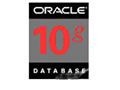 ORACLE Oracle 10g(ҵ 1CPU)